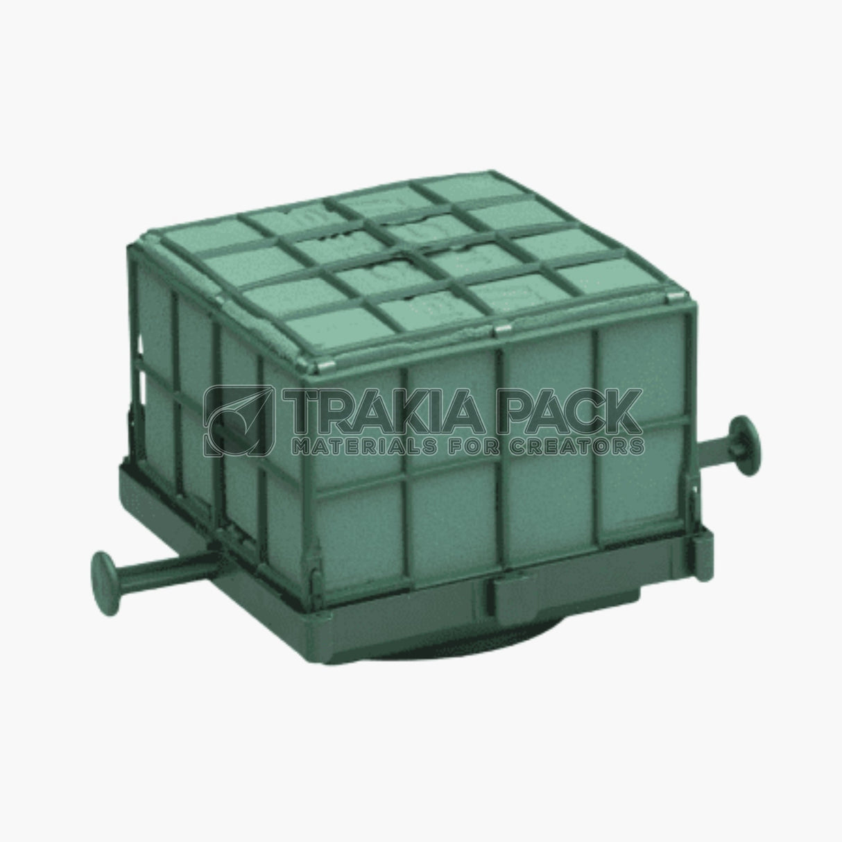 Пиафлора вакуум (за кола) Oasis - 11х11х9см 