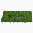 Изкуствено пано мъх 100х40см