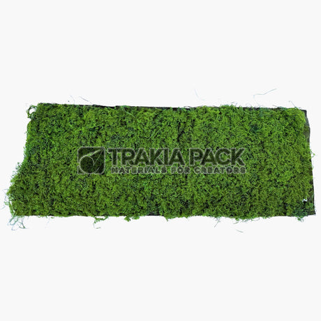 Изкуствено пано мъх 100х40см