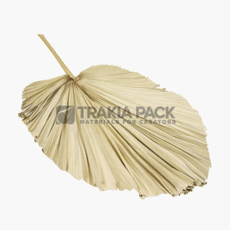 Палмово листо 41х45см