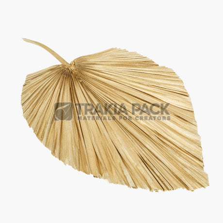 Палмово листо златно 31х42см