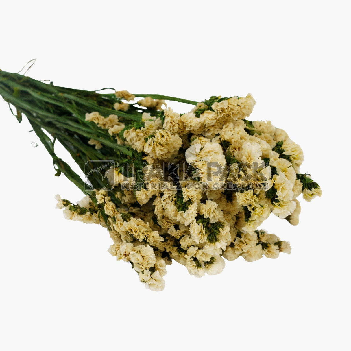 Суха статица 70см/110гр - екрю