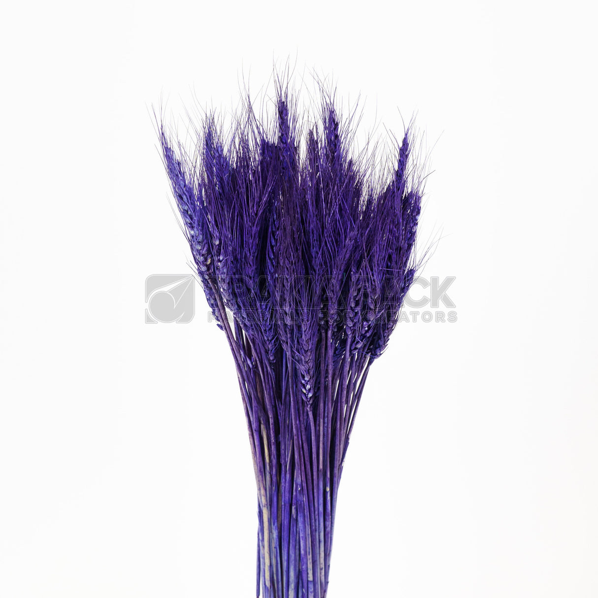 Житен клас 65см/50бр - тъмно син