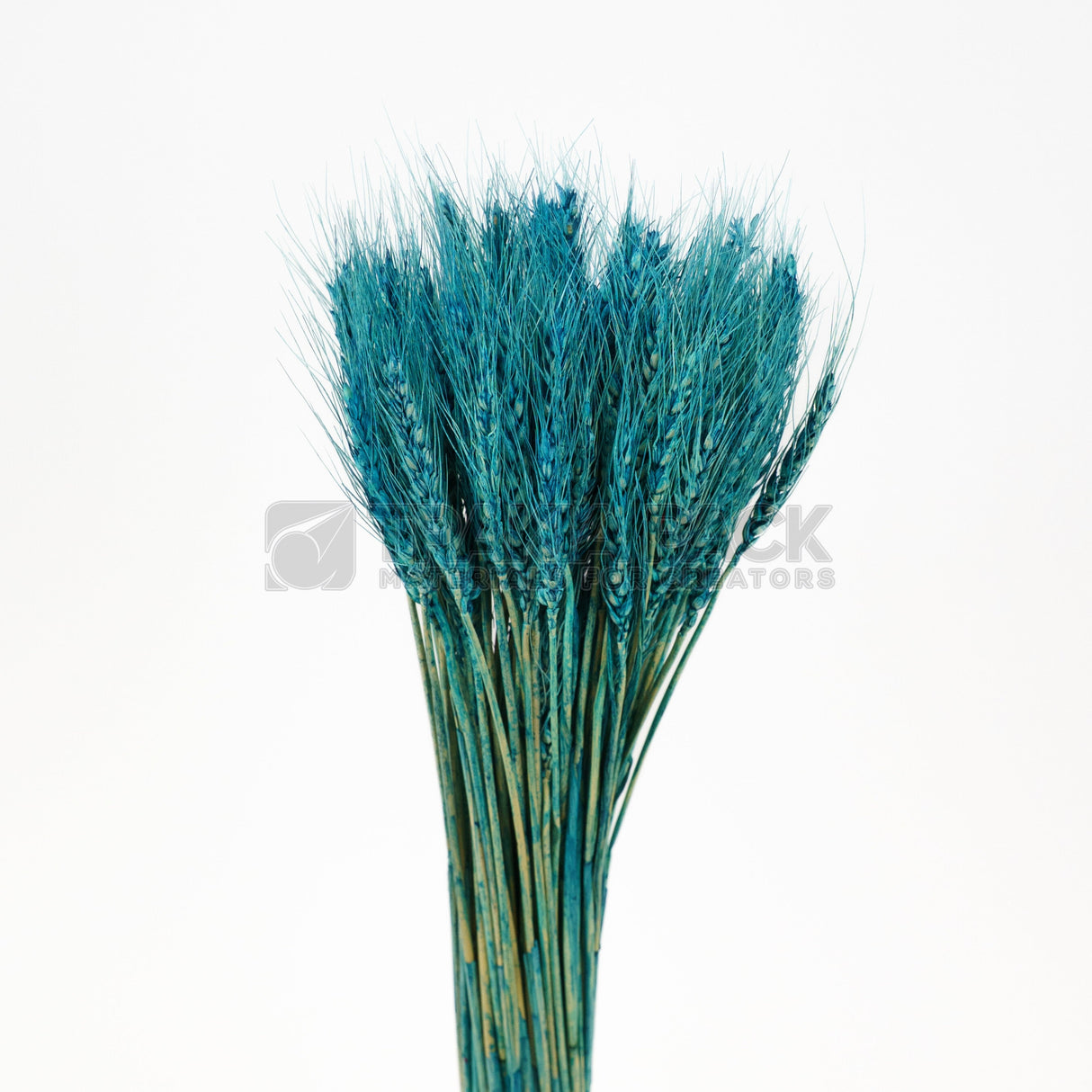 Житен клас 65см/50бр - светло син