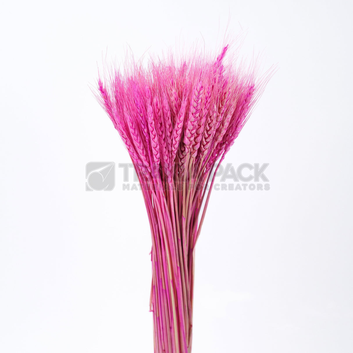 Житен клас 65см/50бр - розов