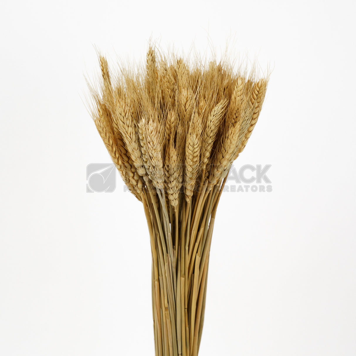 Житен клас 65см/50бр - натурален