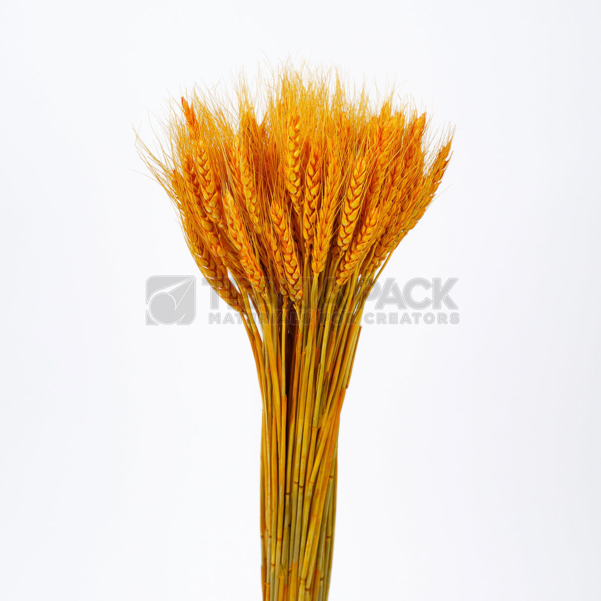 Житен клас 65см/50бр - оранжев