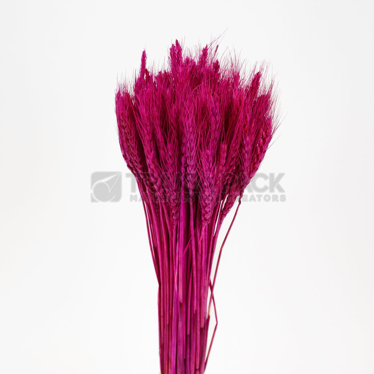 Житен клас 65см/50бр - циклама