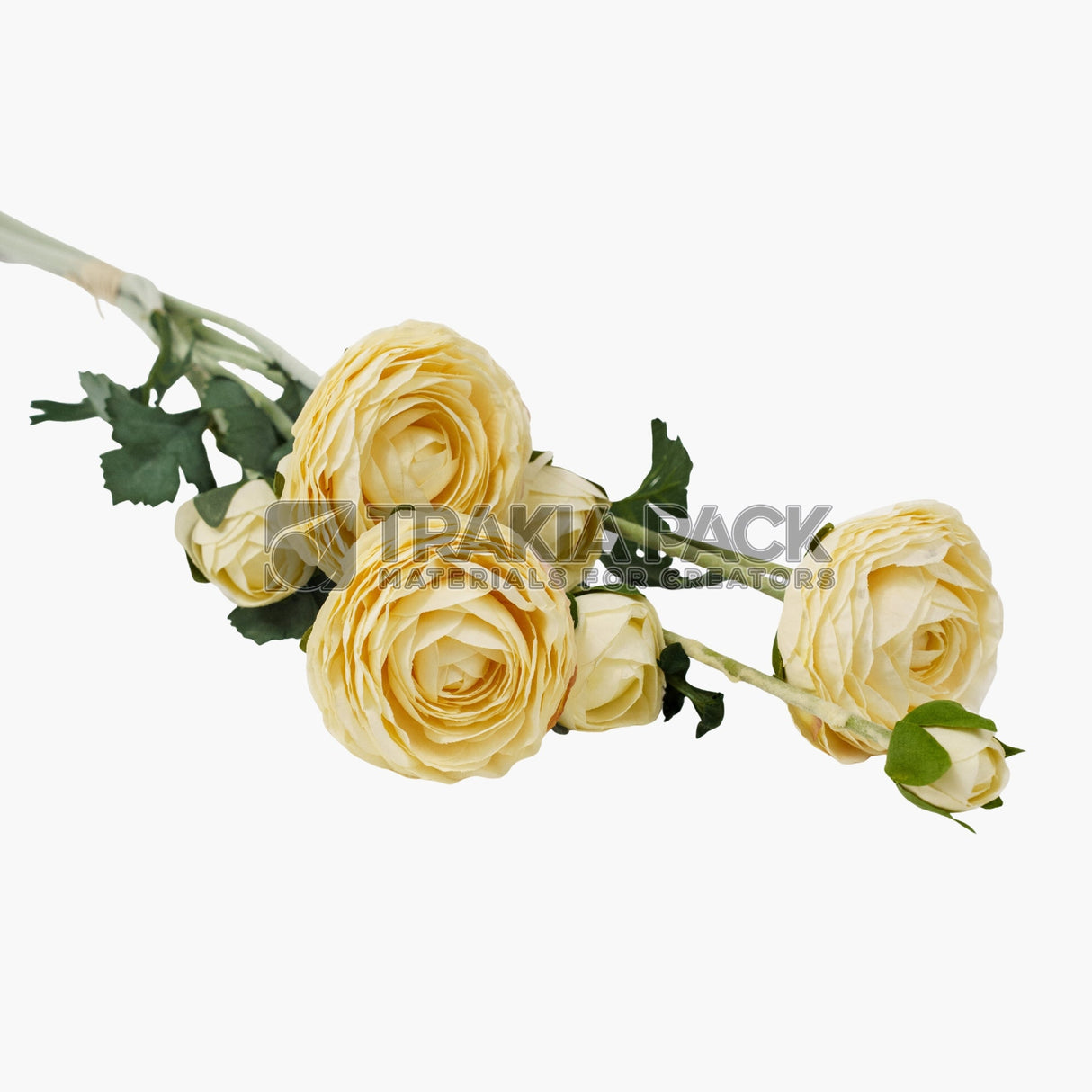 Изкуствен Ранункулус екрю 55см