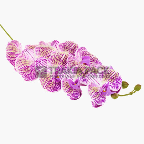 Изкуствена орхидея 97см - шарена