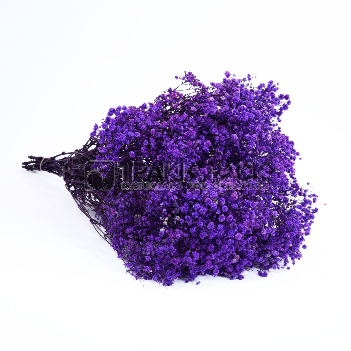 Гипсофил на пакет 400гр - тъмно лилав