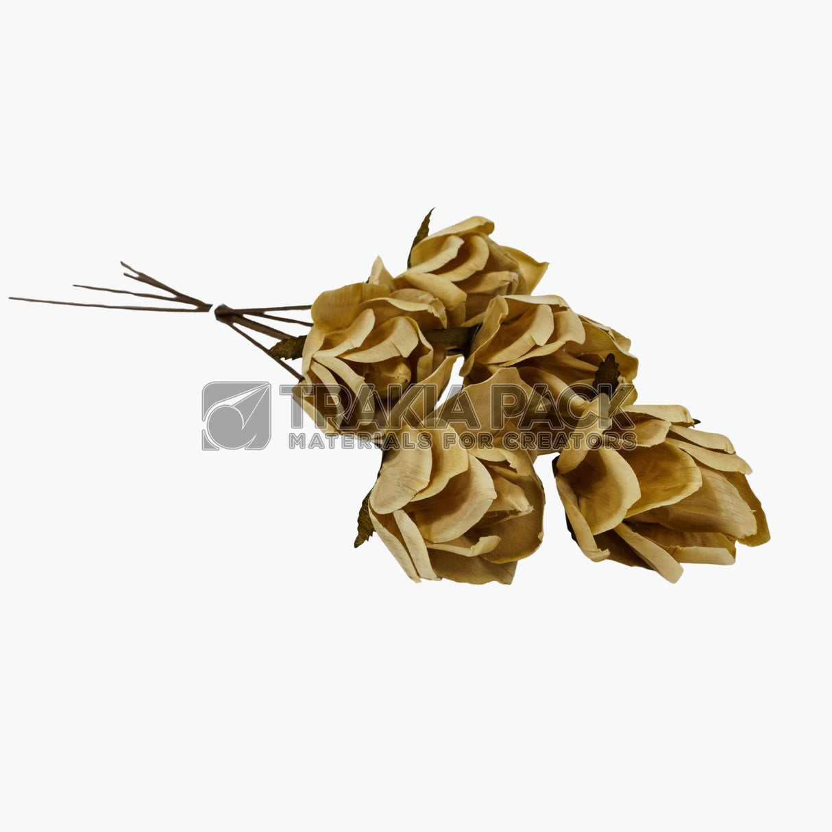 Цъфнала лилия сухо цвете 5бр/55см - екрю