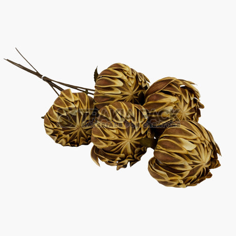 Сухо цвете лилия 5бр/50см - златна