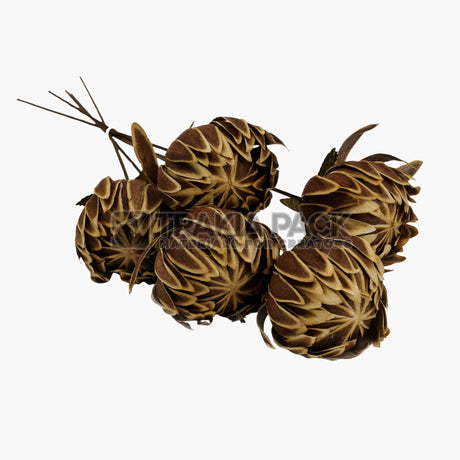 Сухо цвете лилия 5бр/50см - светло кафява