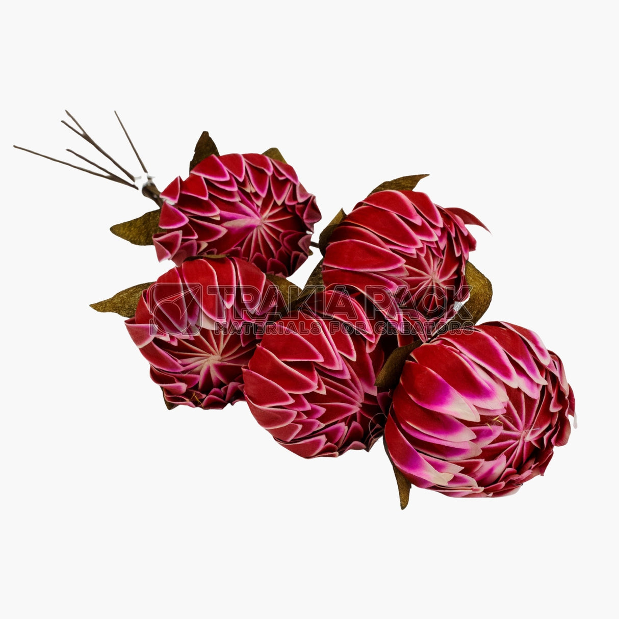 Сухо цвете лилия 5бр/50см - червена