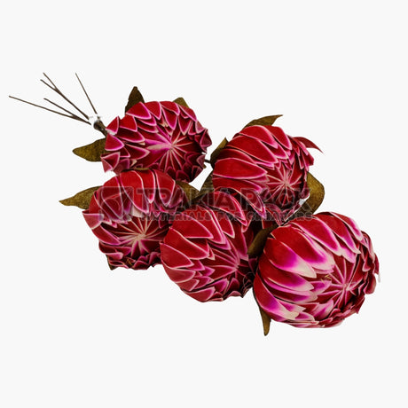 Сухо цвете лилия 5бр/50см - червена