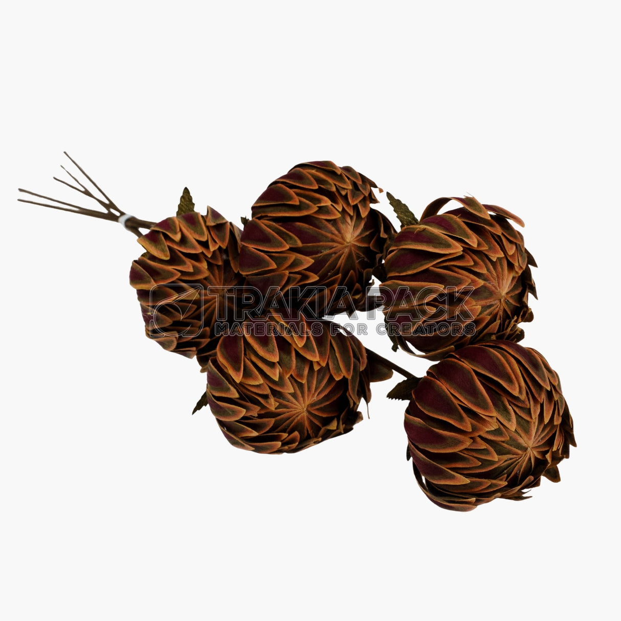 Сухо цвете лилия 5бр/50см - тъмно кафява