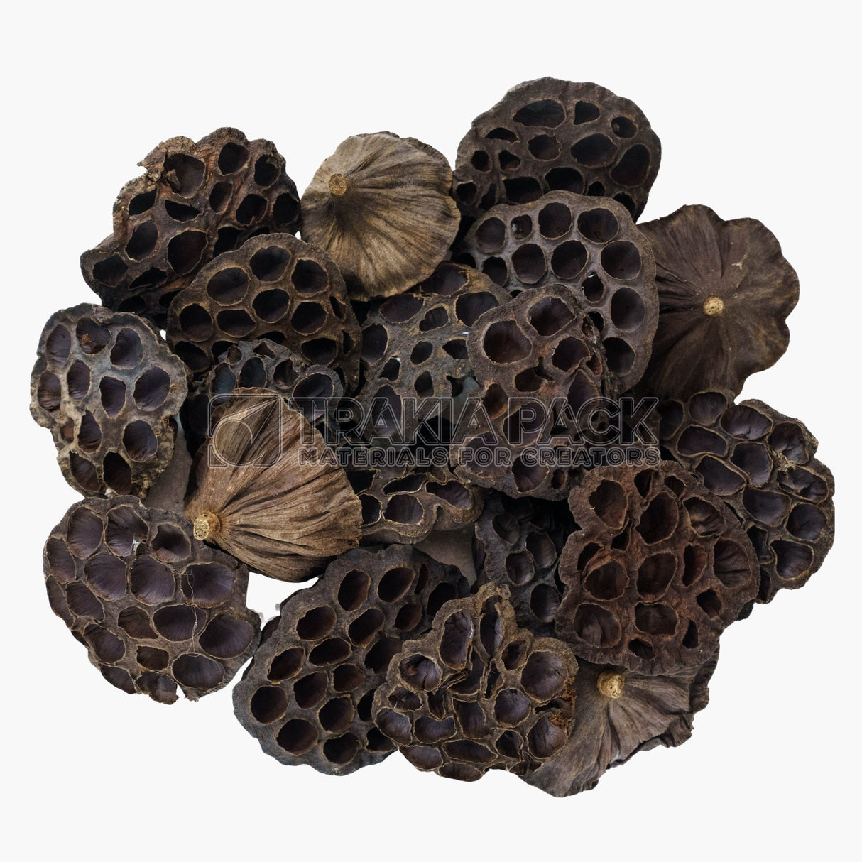 Лотус 20бр/10см