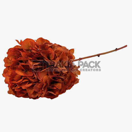 Хортензия 30см/70см - оранжева