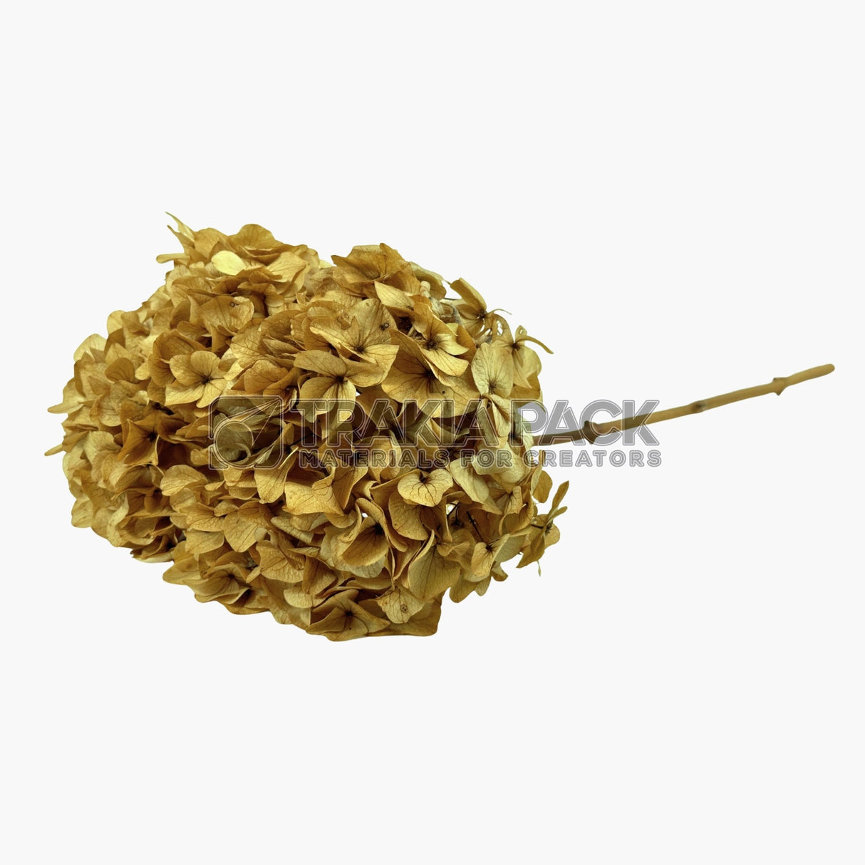 Хортензия 30см/70см - натурална