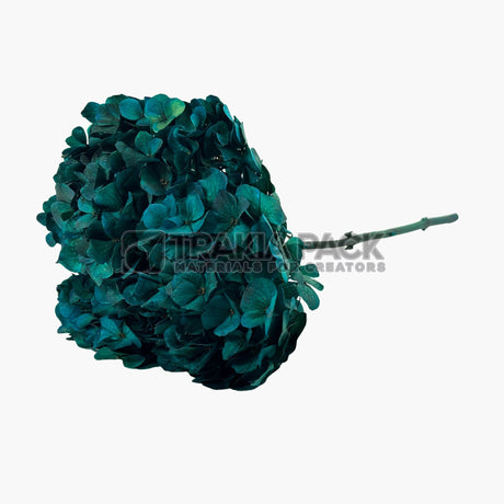 Хортензия 30см/70см - синя