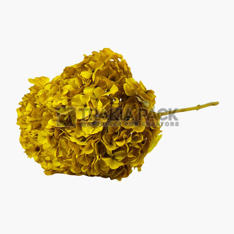 Хортензия 30см/70см - жълта