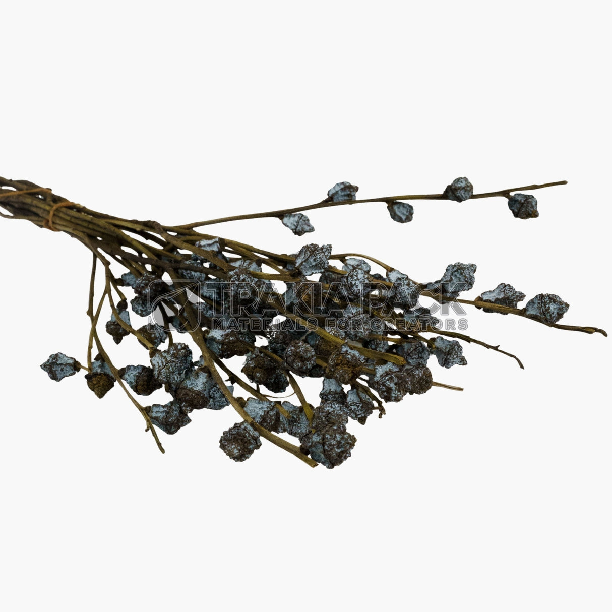 Сухо цвете Херба 60см/150гр