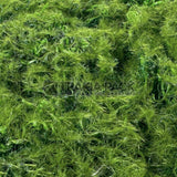 Изкуствено пано мъх 100х40см